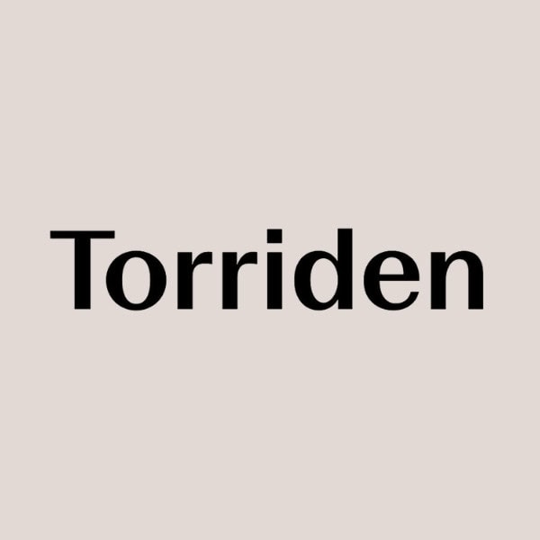 Torriden logo