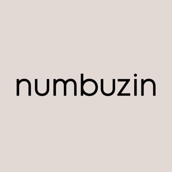 numbuzin logo