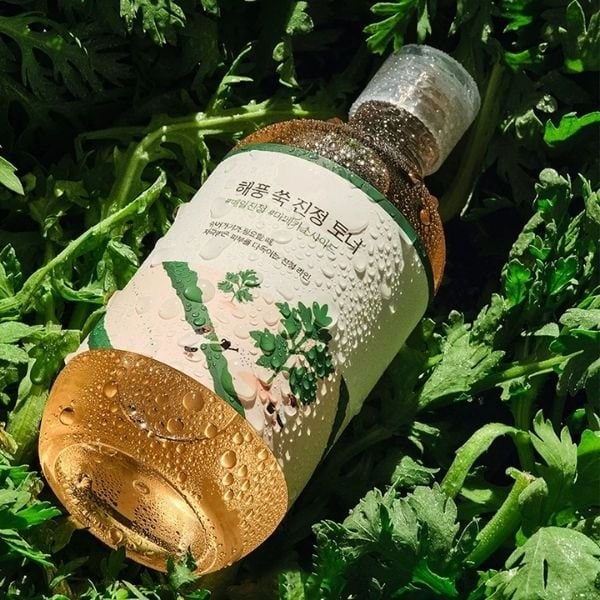 Round Lab Mugwort Calming Toner – veido toneris 1